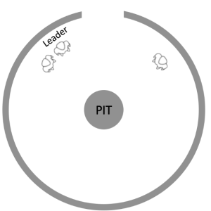circle with another circle in center labeled pit with three humans inside and word leader behind two of them