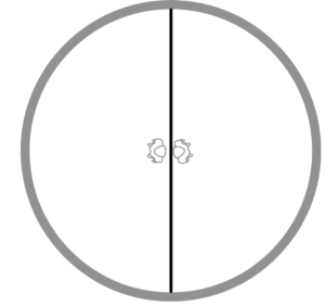 two individual human icon standing face to face in the center of a circle with a line between them