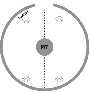 four humans in a circle, to each side, one labeled leader, with word PIT inside a small circle with dots across it